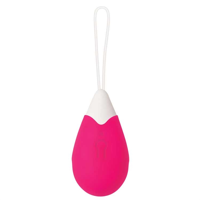 Picture of REMOTE CONTROL EGG