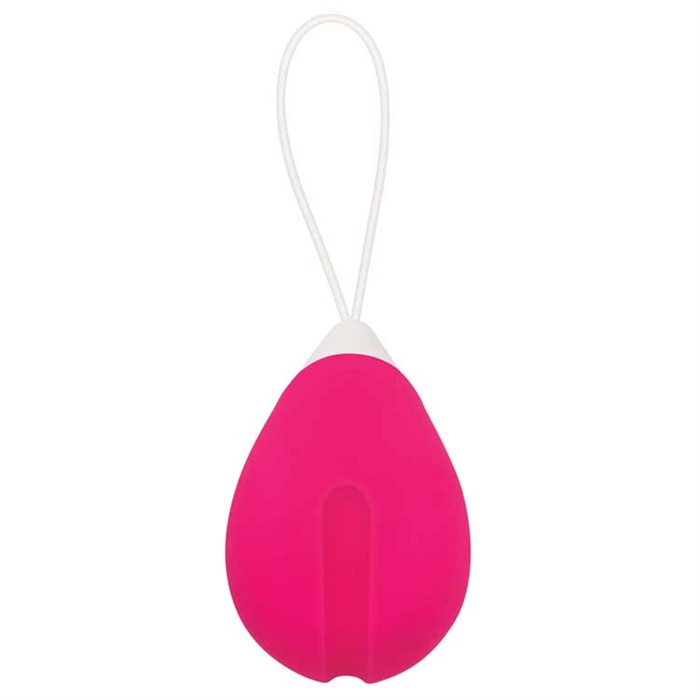 Picture of REMOTE CONTROL EGG