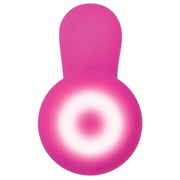 Picture of SUGAR BUNNY