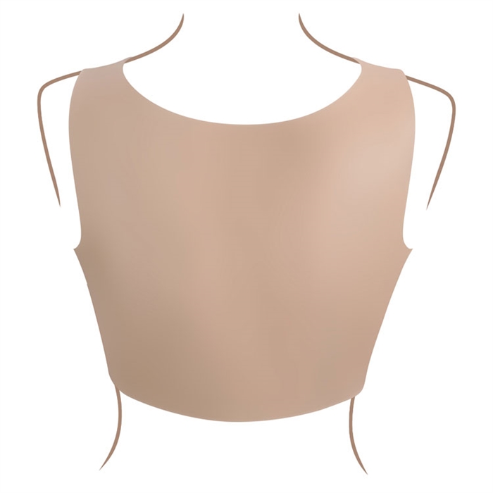 Picture of Undergarments - Plate D-Cup - Light